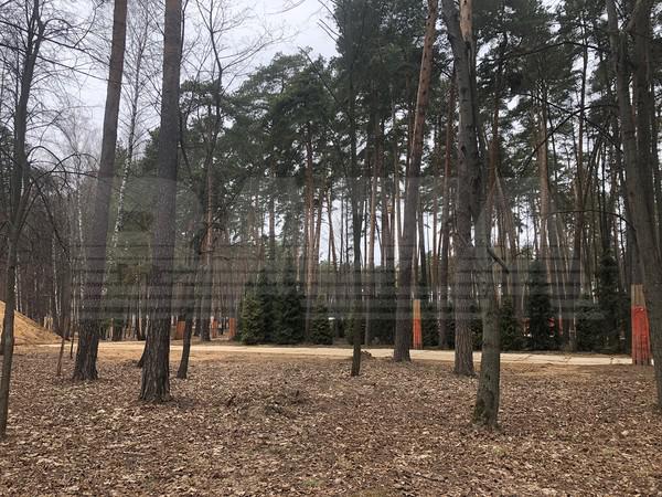 Compromat.Ru: 63249